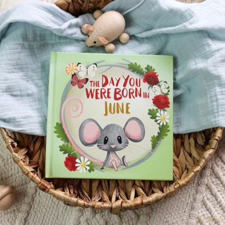The Day You Were Born In June: A Baby Birth Gift Book - Lucy Tapper [KSIĄŻKA]