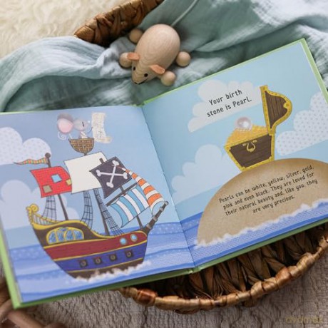 The Day You Were Born In June: A Baby Birth Gift Book - Lucy Tapper [KSIĄŻKA]