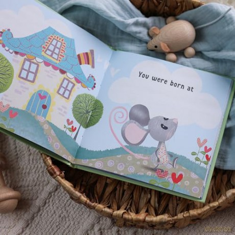 The Day You Were Born In June: A Baby Birth Gift Book - Lucy Tapper [KSIĄŻKA]