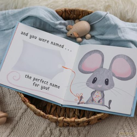 The Day You Were Born In May: A Baby Birth Gift Book - Lucy Tapper [KSIĄŻKA]