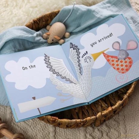The Day You Were Born In May: A Baby Birth Gift Book - Lucy Tapper [KSIĄŻKA]