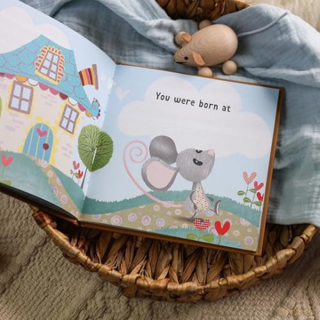 The Day You Were Born In November: A Baby Birth Gift Book - Lucy Tapper [KSIĄŻKA]