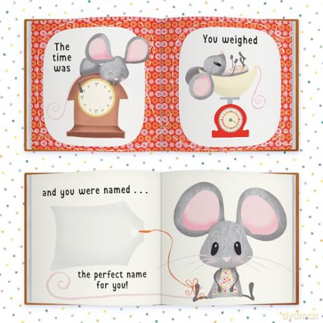 The Day You Were Born In November: A Baby Birth Gift Book - Lucy Tapper [KSIĄŻKA]