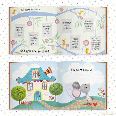 The Day You Were Born In November: A Baby Birth Gift Book - Lucy Tapper [KSIĄŻKA]