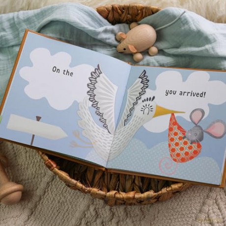 The Day You Were Born In November: A Baby Birth Gift Book - Lucy Tapper [KSIĄŻKA]