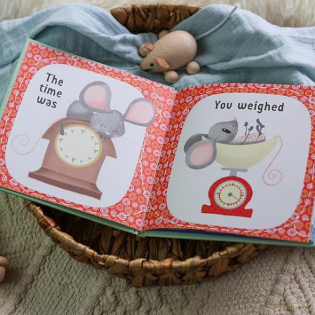 The Day You Were Born In September: A Baby Birth Gift Book - Lucy Tapper [KSIĄŻKA]