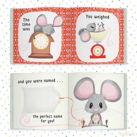 The Day You Were Born In September: A Baby Birth Gift Book - Lucy Tapper [KSIĄŻKA]