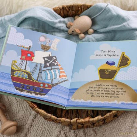 The Day You Were Born In September: A Baby Birth Gift Book - Lucy Tapper [KSIĄŻKA]