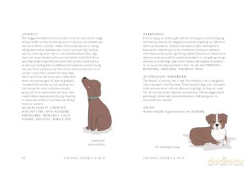The Dog Lover's A to Z - Clare Faulkner [KSIĄŻKA]