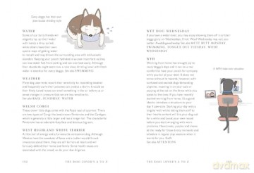 The Dog Lover's A to Z - Clare Faulkner [KSIĄŻKA]