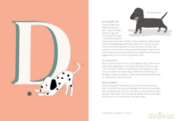 The Dog Lover's A to Z - Clare Faulkner [KSIĄŻKA]