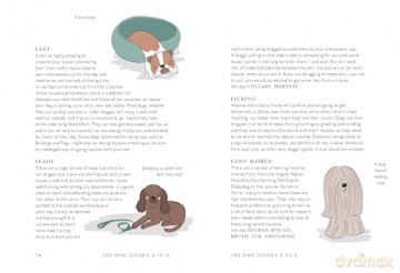 The Dog Lover's A to Z - Clare Faulkner [KSIĄŻKA]