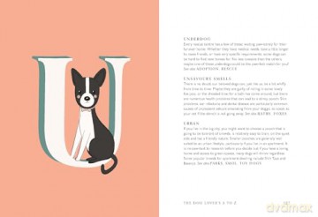 The Dog Lover's A to Z - Clare Faulkner [KSIĄŻKA]