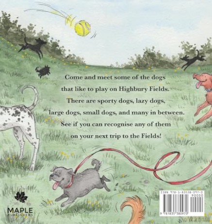 The Dogs of Highbury Fields - Debbie Dunning [KSIĄŻKA]