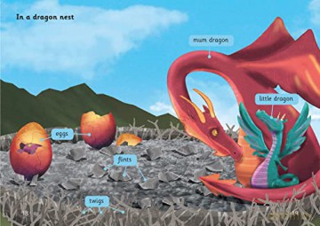 The Dragon Egg Quest: Phase 4 Set 1 (Big Cat Phonics for Little Wandle Letters and Sounds Revised - Age 7+) - Shareen Wilkinson [KSIĄŻKA]