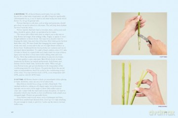 The Encyclopedia of Cut Flowers: What Flowers to Buy, When to Buy Them, and How to Keep Them Alive Longer - Bruce Littlefield [KSIĄŻKA]