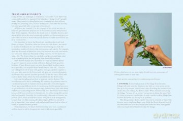 The Encyclopedia of Cut Flowers: What Flowers to Buy, When to Buy Them, and How to Keep Them Alive Longer - Bruce Littlefield [KSIĄŻKA]