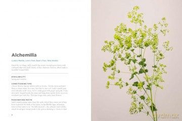 The Encyclopedia of Cut Flowers: What Flowers to Buy, When to Buy Them, and How to Keep Them Alive Longer - Bruce Littlefield [KSIĄŻKA]