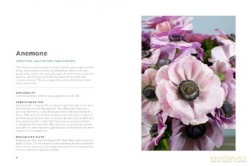 The Encyclopedia of Cut Flowers: What Flowers to Buy, When to Buy Them, and How to Keep Them Alive Longer - Bruce Littlefield [KSIĄŻKA]