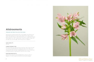 The Encyclopedia of Cut Flowers: What Flowers to Buy, When to Buy Them, and How to Keep Them Alive Longer - Bruce Littlefield [KSIĄŻKA]