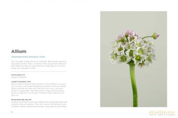 The Encyclopedia of Cut Flowers: What Flowers to Buy, When to Buy Them, and How to Keep Them Alive Longer - Bruce Littlefield [KSIĄŻKA]