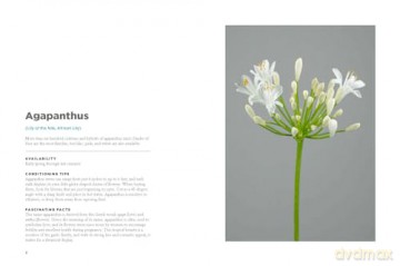 The Encyclopedia of Cut Flowers: What Flowers to Buy, When to Buy Them, and How to Keep Them Alive Longer - Bruce Littlefield [KSIĄŻKA]