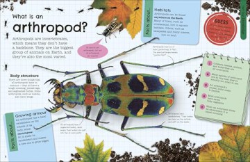 The Fact-Packed Activity Book: Insects: And Other Tiny Creatures [KSIĄŻKA]
