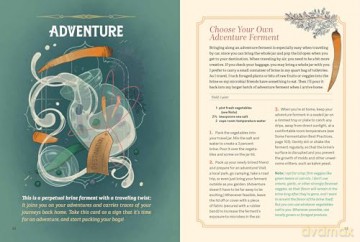 The Fermentation Oracle: Readings and Recipes to Take You on a Magical Culinary Journey; 36 Oracle Cards and Guidebook - Julia Skinner [KSIĄŻKA]