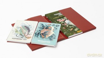 The Fermentation Oracle: Readings and Recipes to Take You on a Magical Culinary Journey; 36 Oracle Cards and Guidebook - Julia Skinner [KSIĄŻKA]