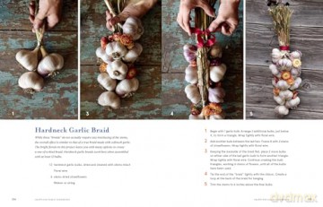 The Garlic Companion: Recipes, Crafts, Preservation Techniques, and Simple Ways to Grow Your Own - Kristin Graves [KSIĄŻKA]