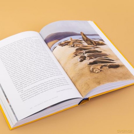 The Genetic Book of the Dead: A Darwinian Reverie - Richard Dawkins [KSIĄŻKA]