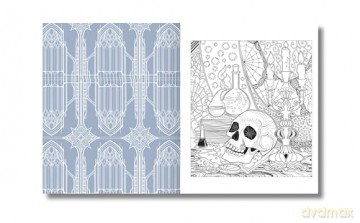 The Gothic Colouring Book: Over 45 Images (Arcturus Horror Colouring) - Tansy Willow [KSIĄŻKA]