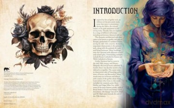 The Gothic Colouring Book: Over 45 Images (Arcturus Horror Colouring) - Tansy Willow [KSIĄŻKA]