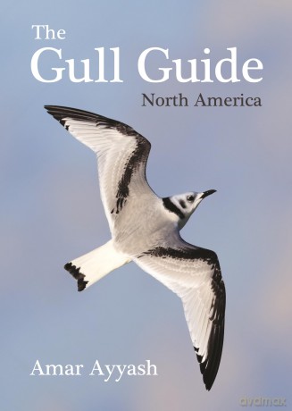 The Gull Guide: North America - Amar Ayyash [KSIĄŻKA]