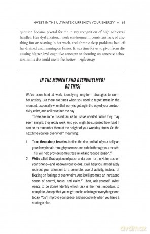 The Happy High Achiever: 8 Essentials to Overcome Anxiety, Reduce Stress and Energize Yourself for Success - Dr Mary E. Anderson [KSIĄŻKA]