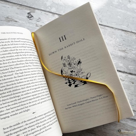 The Haunted Wood: A History of Childhood Reading - Sam Leith [KSIĄŻKA]