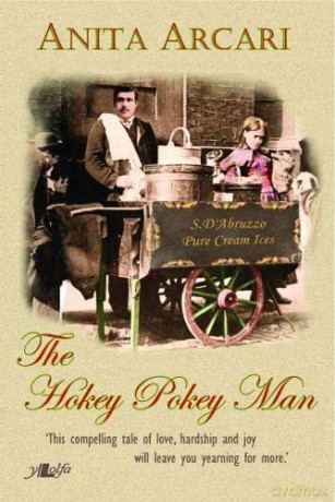The Hokey Pokey Man - Anita Arcari [KSIĄŻKA]