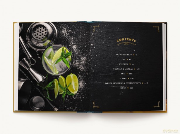 The Home Mixologist: Shake Up Your Cocktail Game with 150 Recipes - Shane Carley [KSIĄŻKA]