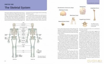 The Human Body: An Illustrated Guide to Its Form, Functions and Capabilities - Robert Snedden [KSIĄŻKA]
