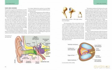 The Human Body: An Illustrated Guide to Its Form, Functions and Capabilities - Robert Snedden [KSIĄŻKA]