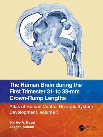 The Human Brain during the First Trimester 31- to 33-mm Crown-Rump Lengths: Atlas of Human Central Nervous System Development, Volume 5 (Atlas of Human Central Nervous System Development, 5) - Shirley A. Bayer [KSIĄŻKA]