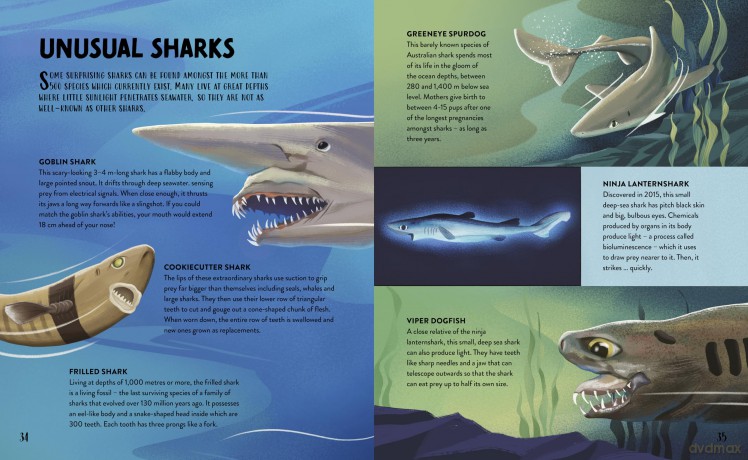 The Hungry History of Sharks - Clive Gifford [KSIĄŻKA]