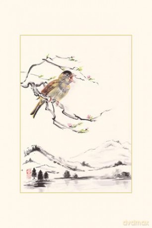 The Illustrated Book of Japanese Haiku: A Journey through the Seasons with Japan's Best-Loved Poets (Free Online Audio) - William Scott Wilson (translated by) [KSIĄŻKA]