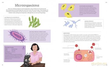 The Illustrated Encyclopedia of Science: Explore the Wonders of Life, Matter, Energy, and More (Arcturus Illustrated Encyclopedias) - Claudia Martin [KSIĄŻKA]