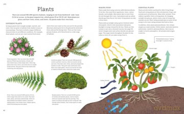The Illustrated Encyclopedia of Science: Explore the Wonders of Life, Matter, Energy, and More (Arcturus Illustrated Encyclopedias) - Claudia Martin [KSIĄŻKA]