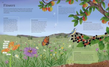 The Illustrated Encyclopedia of Science: Explore the Wonders of Life, Matter, Energy, and More (Arcturus Illustrated Encyclopedias) - Claudia Martin [KSIĄŻKA]