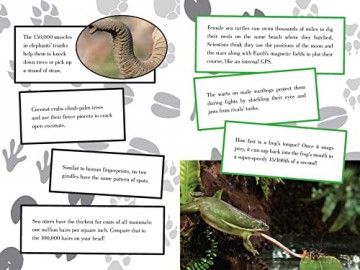 The Incredible Book of Outrageous Facts for Kids: Random Information You Need to Know! - Nancy Furstinger [KSIĄŻKA]