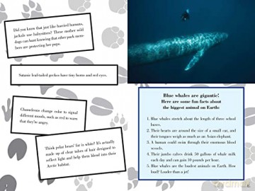 The Incredible Book of Outrageous Facts for Kids: Random Information You Need to Know! - Nancy Furstinger [KSIĄŻKA]