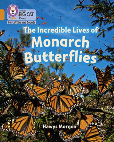 The Incredible Lives of Monarch Butterflies: Band 06/Orange (Collins Big Cat Phonics for Letters and Sounds) - Hawys Morgan [KSIĄŻKA]