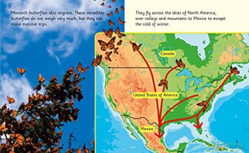The Incredible Lives of Monarch Butterflies: Band 06/Orange (Collins Big Cat Phonics for Letters and Sounds) - Hawys Morgan [KSIĄŻKA]